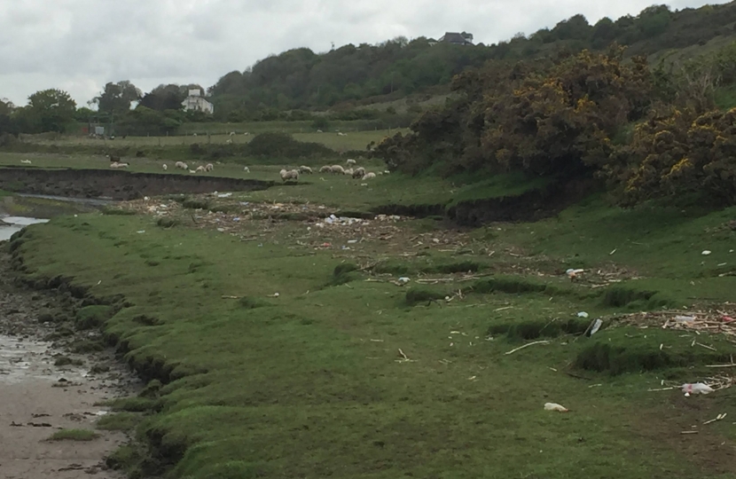 Ogmore River bank before